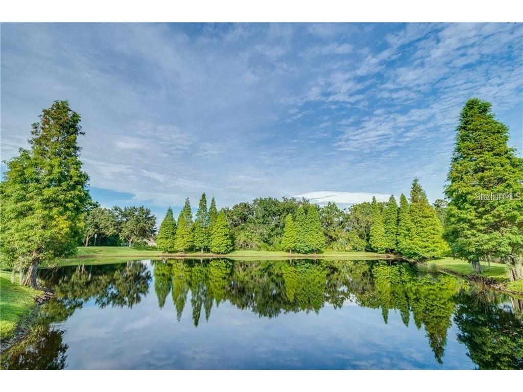 6528 Sedgeford Drive Lakeland FL 33811 P4935028 image33