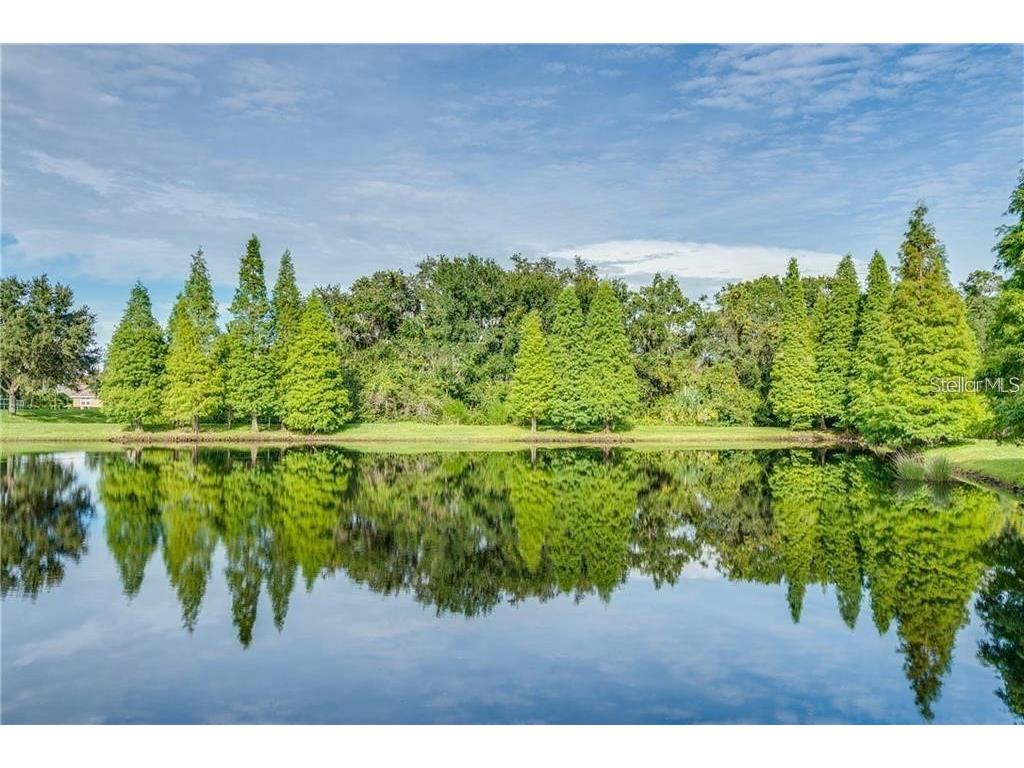 6528 Sedgeford Drive Lakeland FL 33811 P4935028 image34