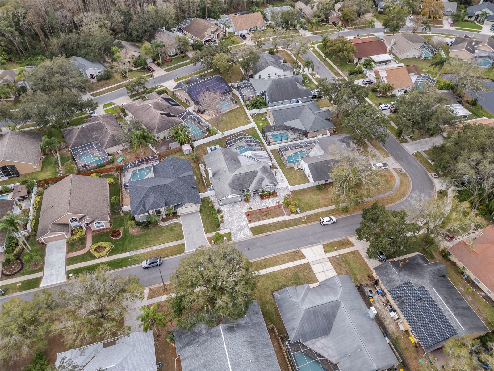 6528 Steeplechase Drive Tampa FL 33625 TB8463532 image69