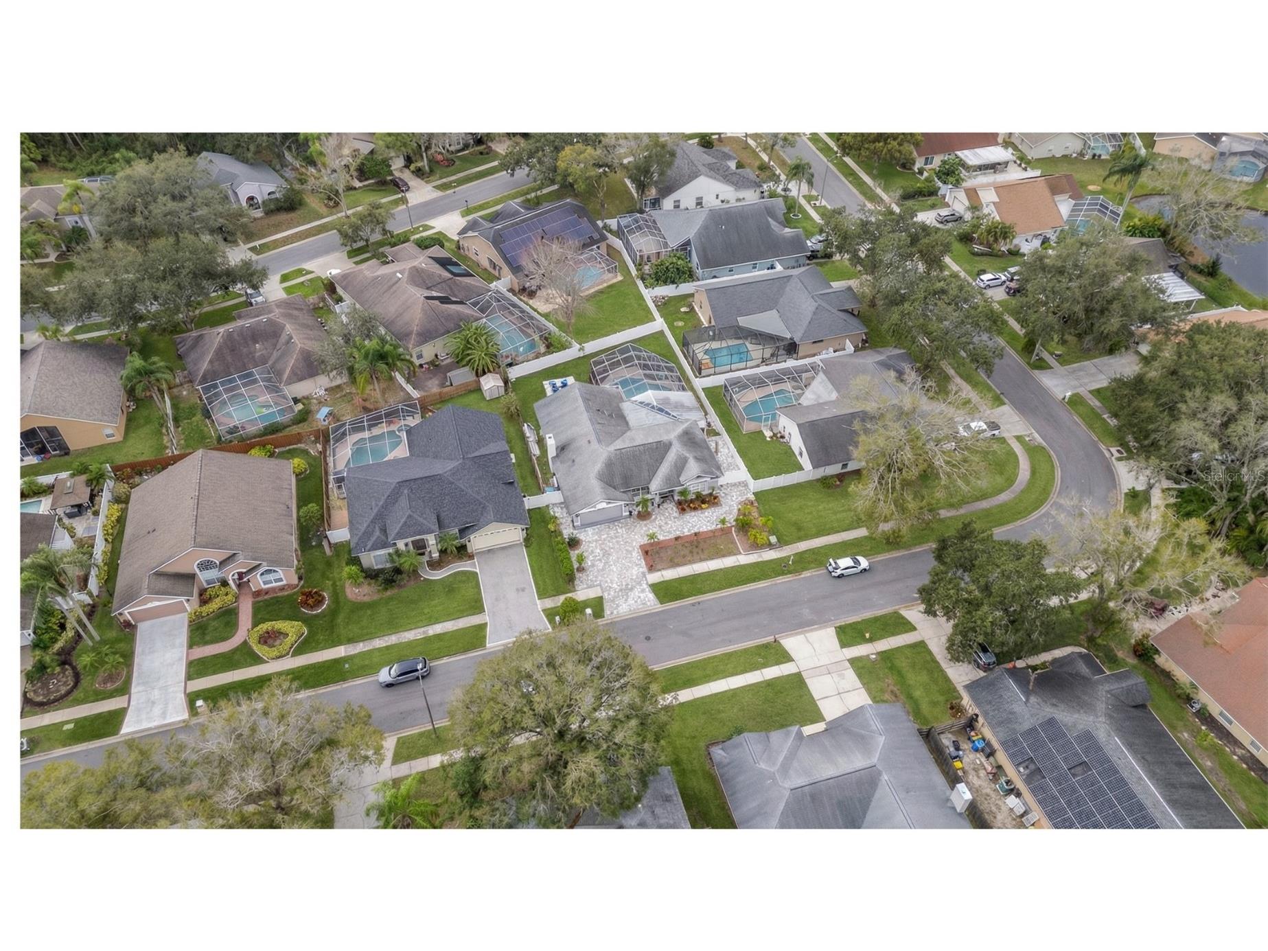 6528 Steeplechase Drive Tampa FL 33625 TB8463532 image71