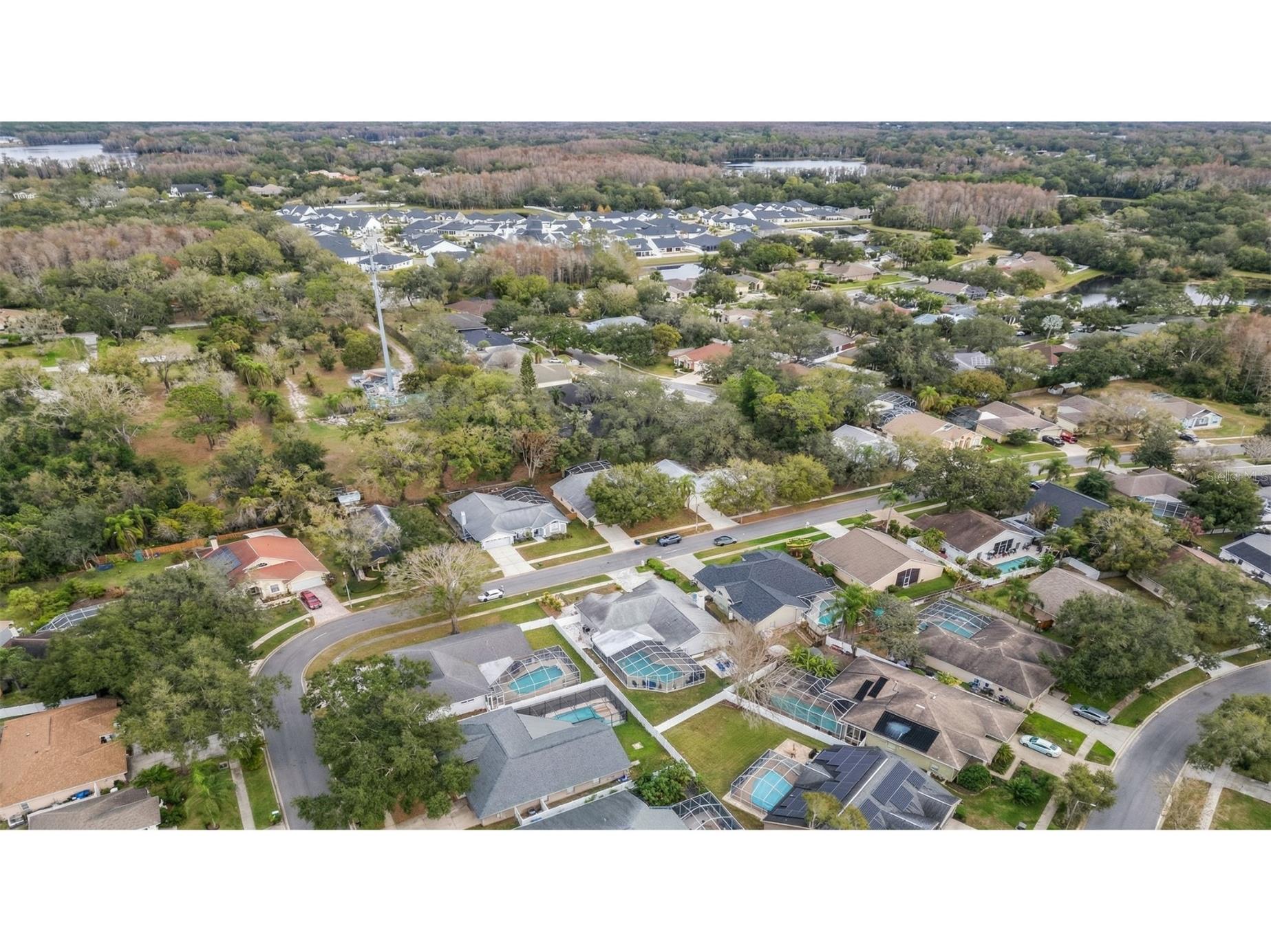 6528 Steeplechase Drive Tampa FL 33625 TB8463532 image72