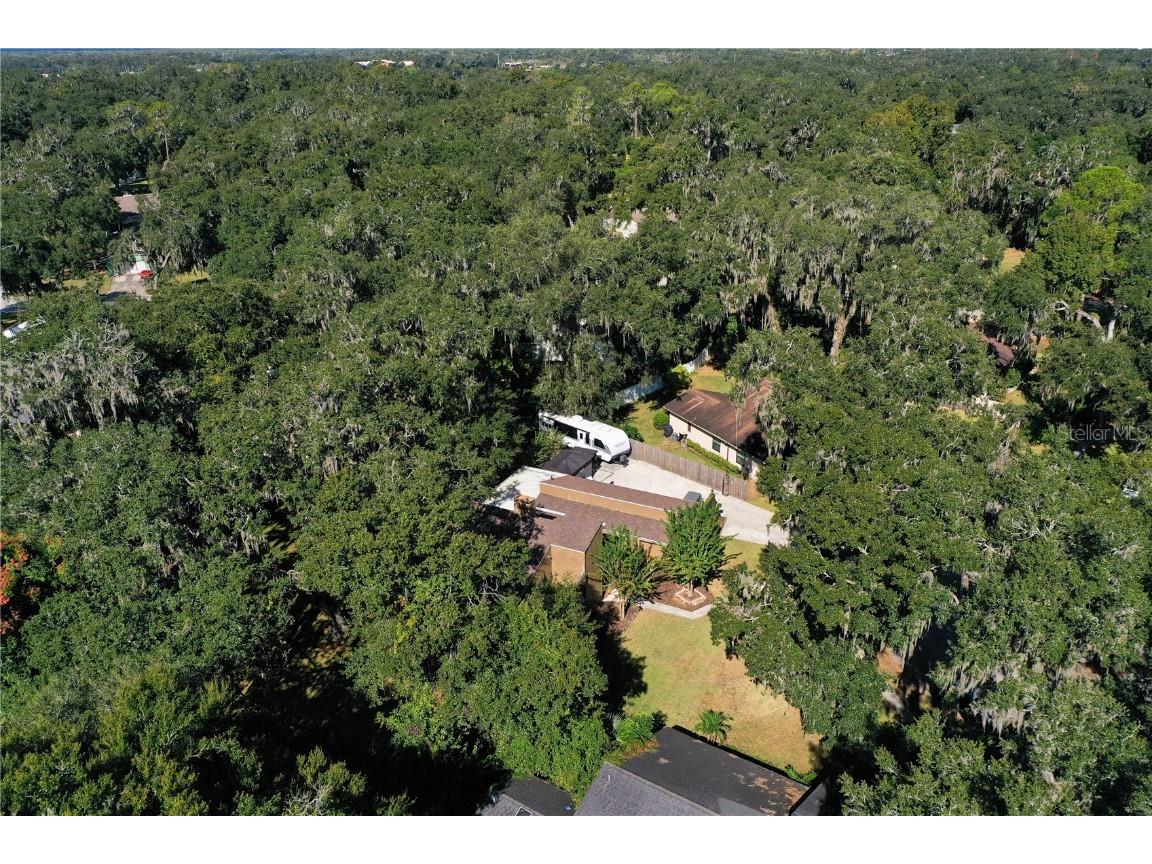 6529 Shadow Court Lakeland FL 33813 L4956968 image79