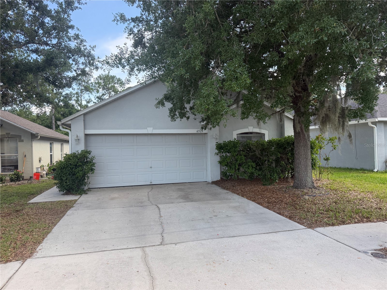 6529 Tabogi Trail Wesley Chapel FL 33545 TB8517381 image1