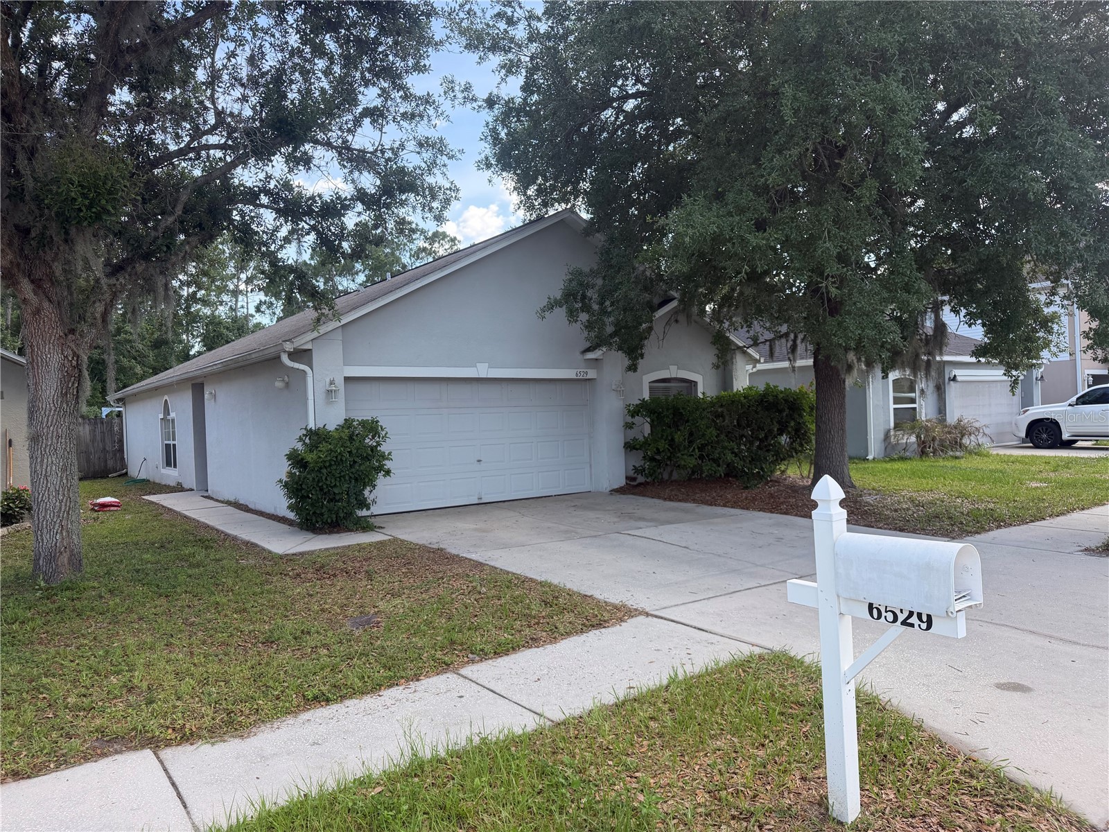 6529 Tabogi Trail Wesley Chapel FL 33545 TB8517381 image2