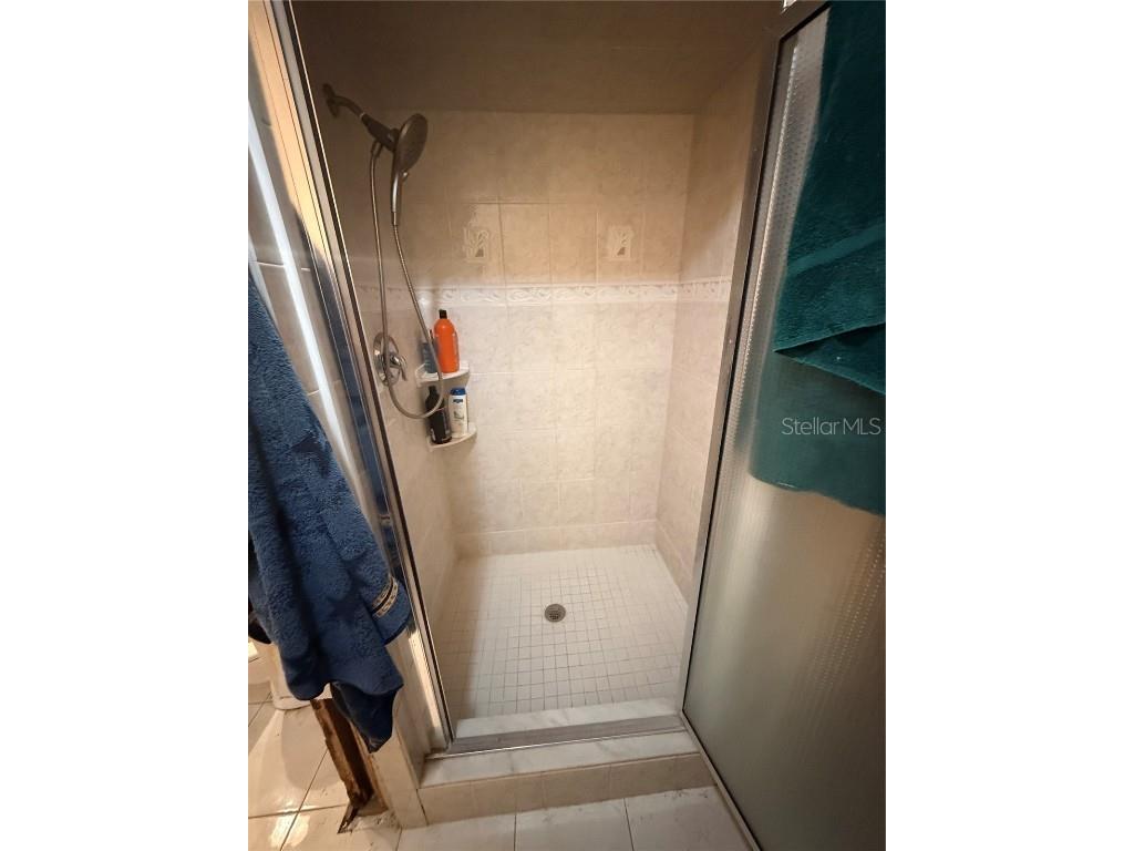 653 Bayshore Drive Tarpon Springs FL 34689 TB8450233 image21