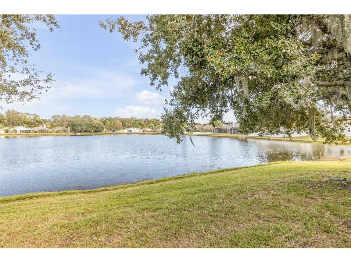 653 Coral Trace Boulevard Edgewater FL 32132 NS1086392 image50
