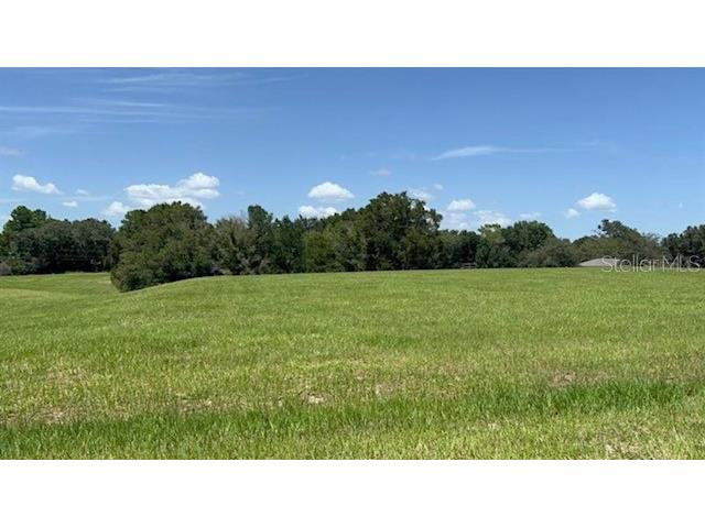 653 E Connecticut Lane Hernando FL 34442 T3507038 image1