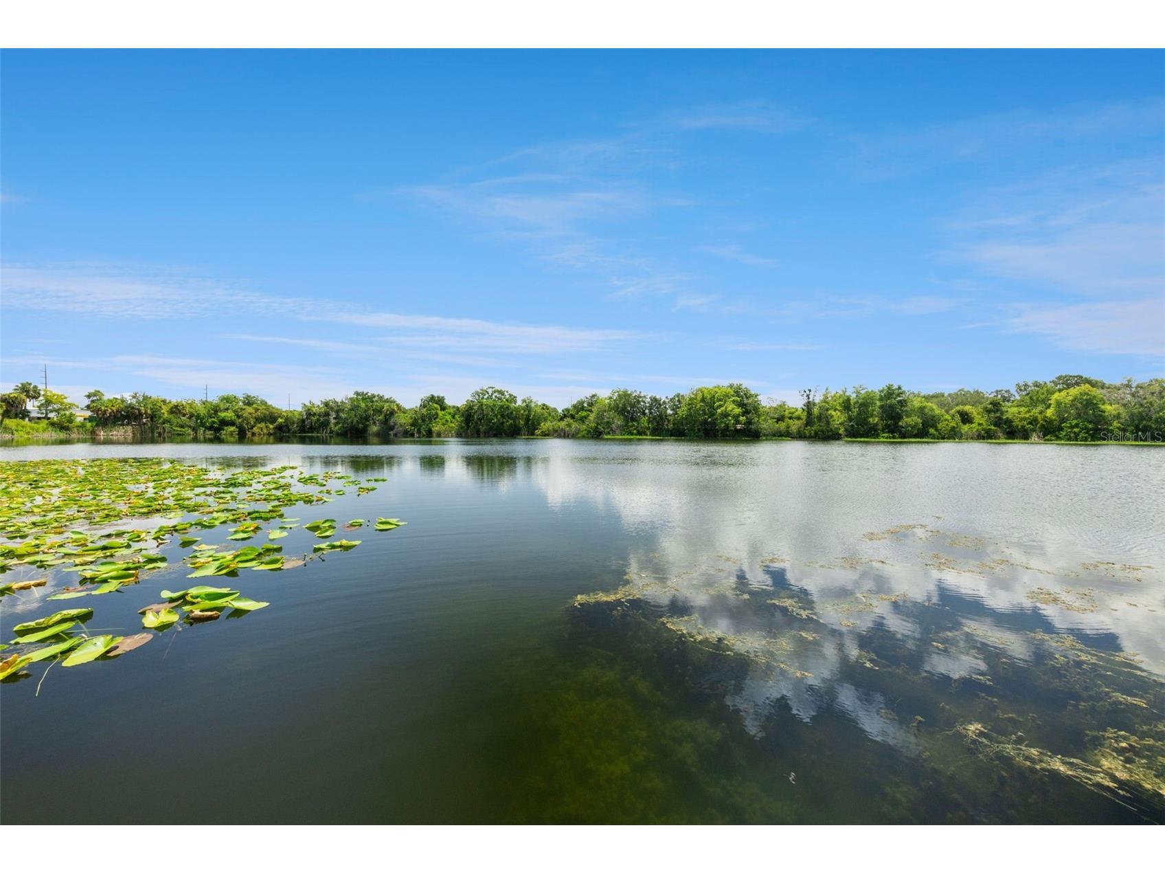 653 Lake Mobile Drive Altamonte Springs FL 32701 - LAKE MOBILE O6427398 image2