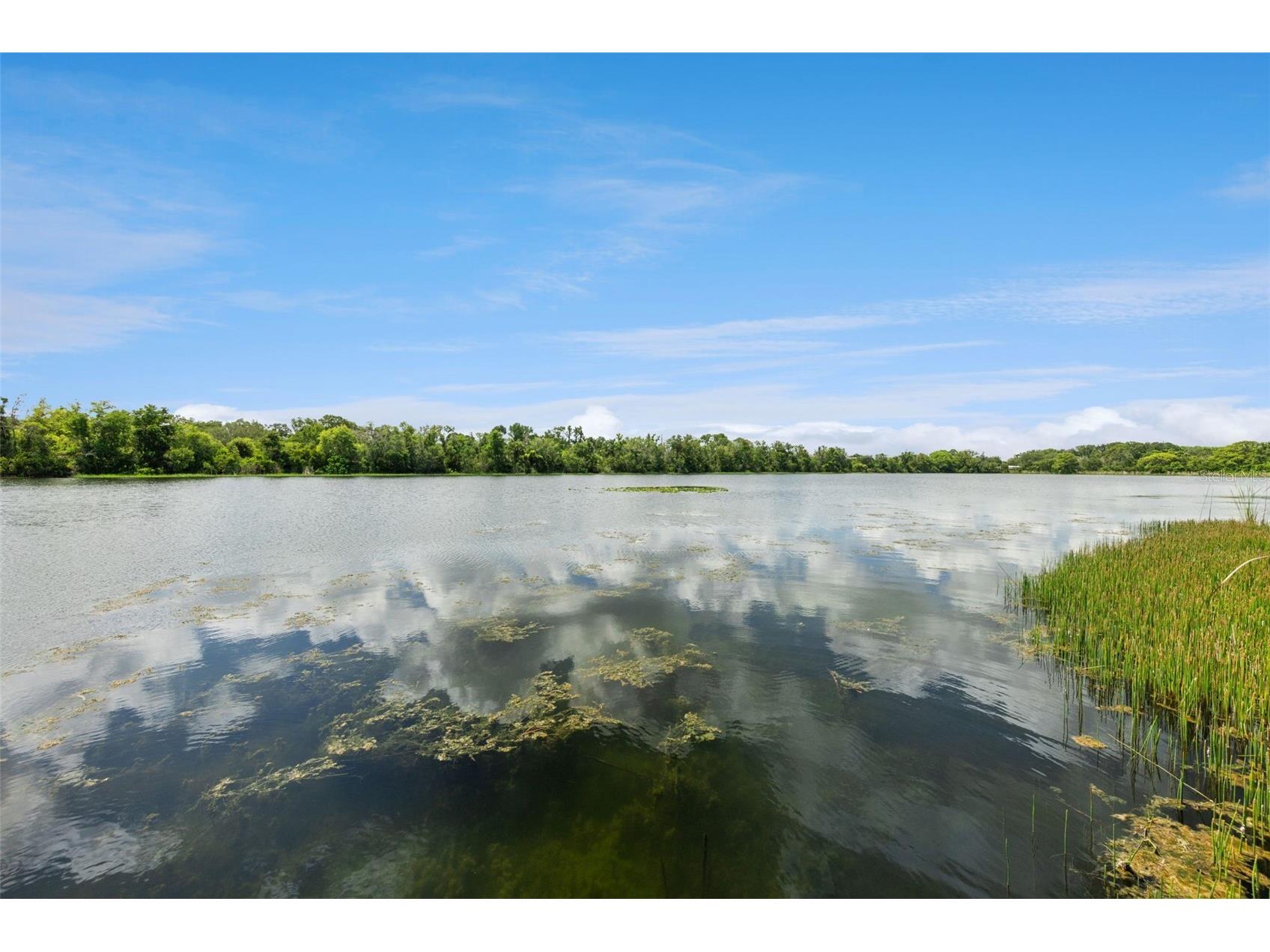 653 Lake Mobile Drive Altamonte Springs FL 32701 - LAKE MOBILE O6427398 image38