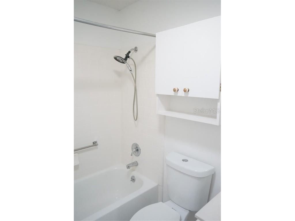 653 Mcdaniel Street #178 Sun City Center FL 33573 TB8436473 image24