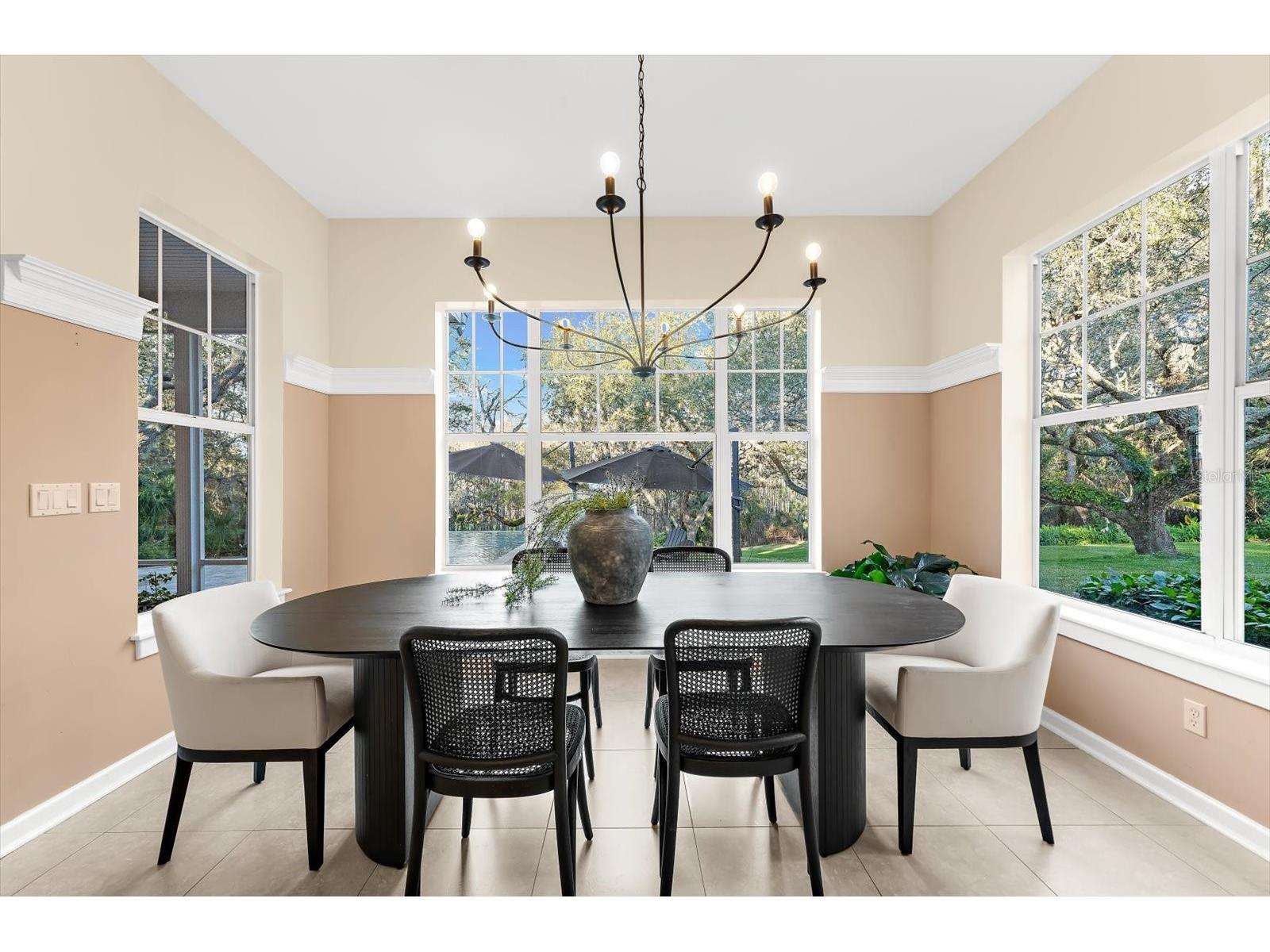 653 Old East Lake Road Tarpon Springs FL 34688 TB8469264 image21