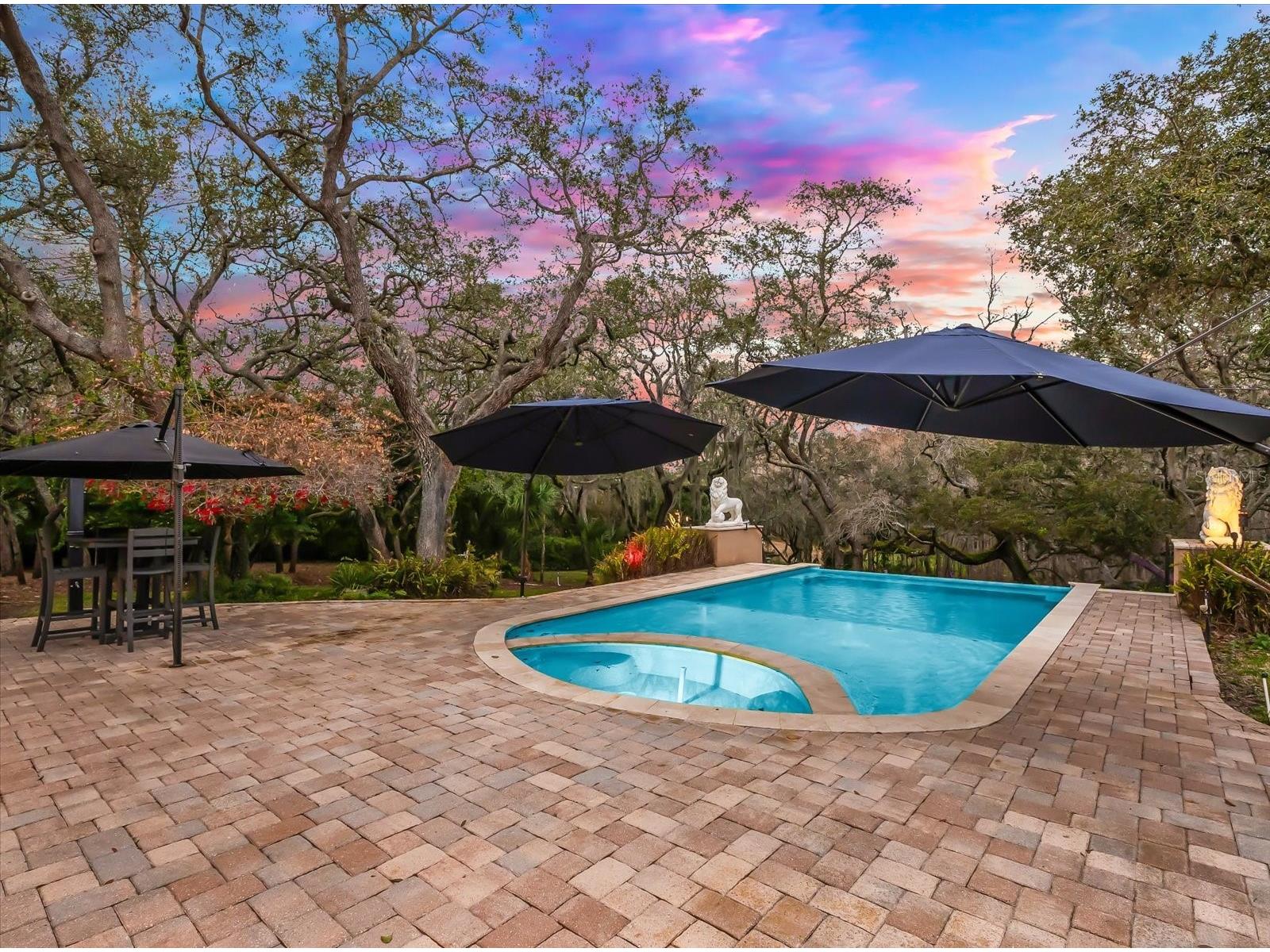 653 Old East Lake Road Tarpon Springs FL 34688 TB8469264 image49