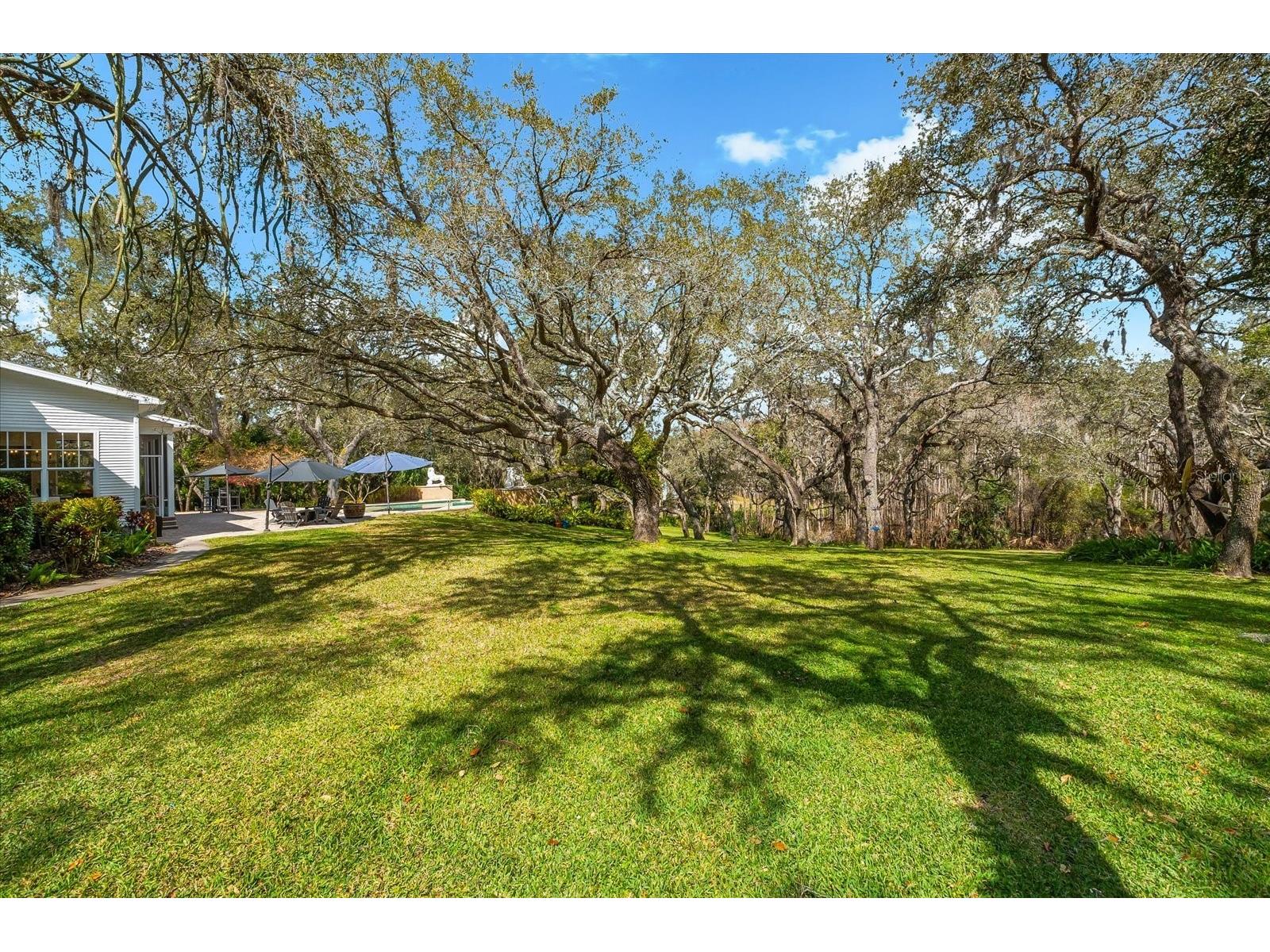 653 Old East Lake Road Tarpon Springs FL 34688 TB8469264 image55