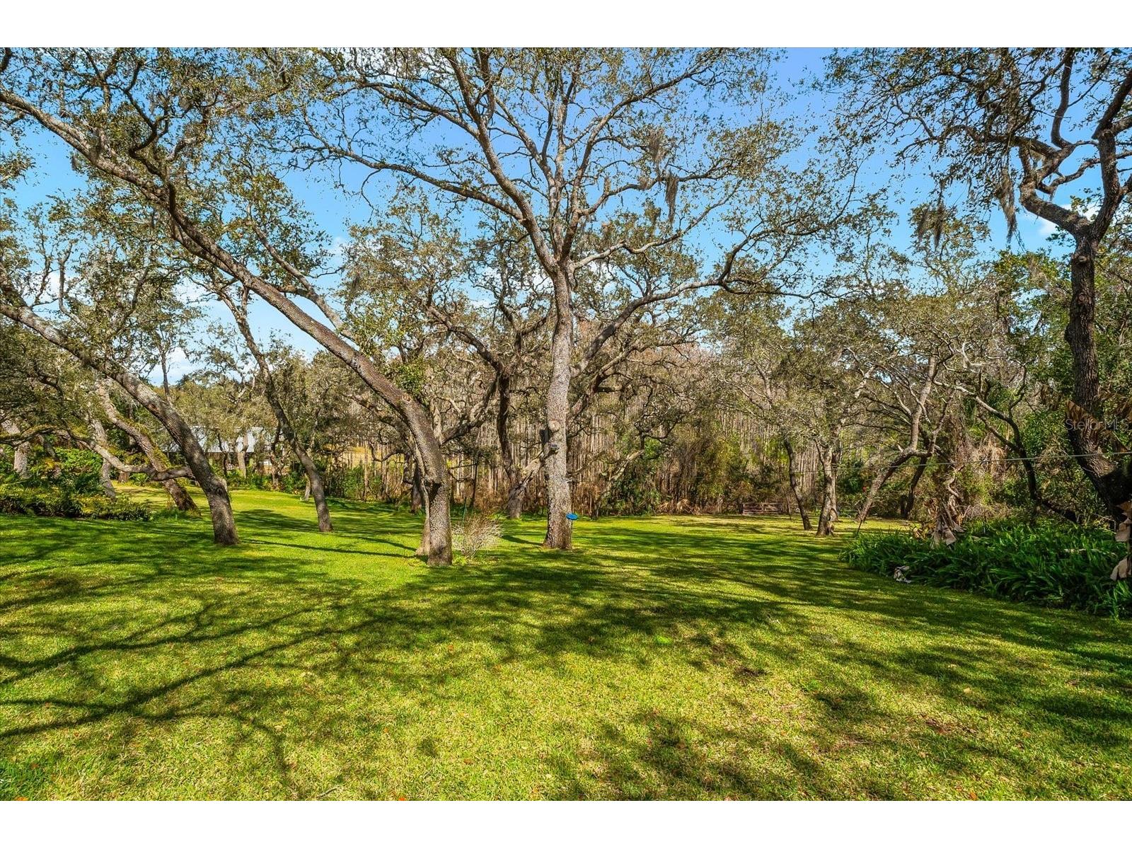 653 Old East Lake Road Tarpon Springs FL 34688 TB8469264 image56