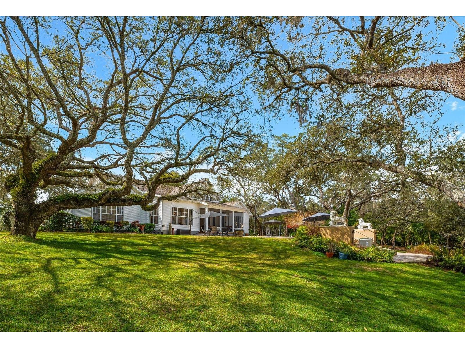 653 Old East Lake Road Tarpon Springs FL 34688 TB8469264 image57