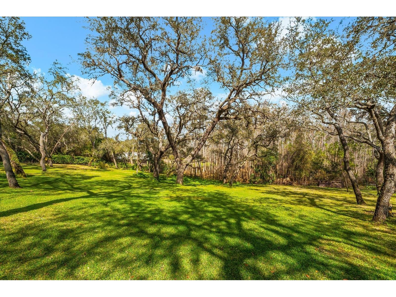 653 Old East Lake Road Tarpon Springs FL 34688 TB8469264 image58