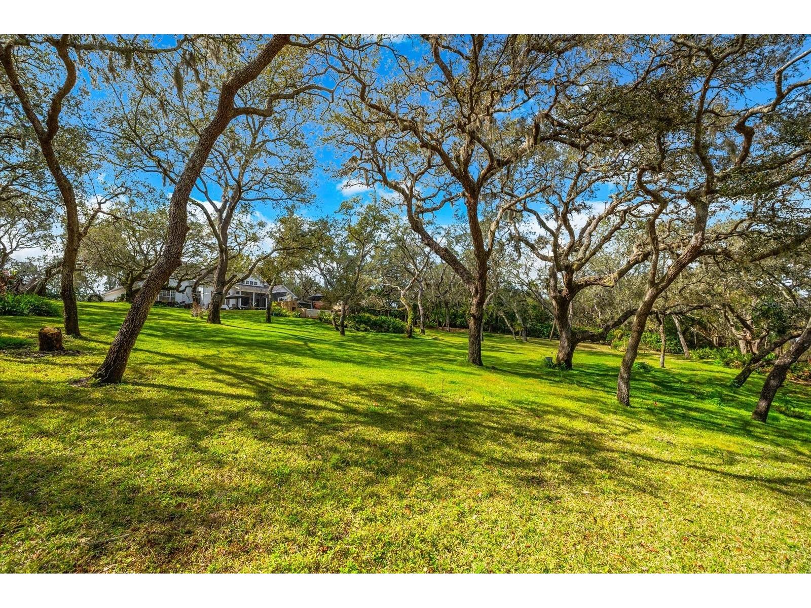 653 Old East Lake Road Tarpon Springs FL 34688 TB8469264 image59