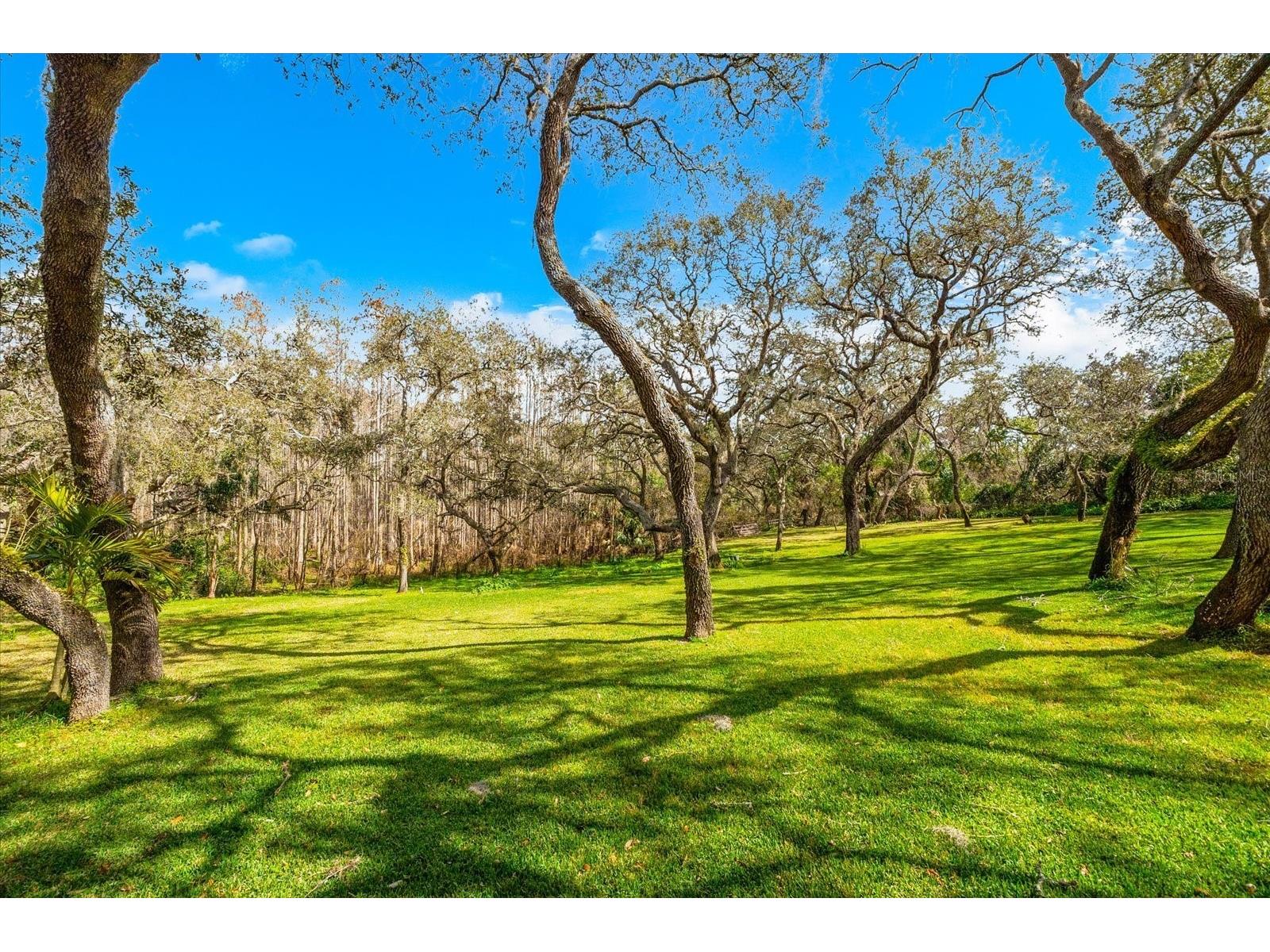 653 Old East Lake Road Tarpon Springs FL 34688 TB8469264 image60