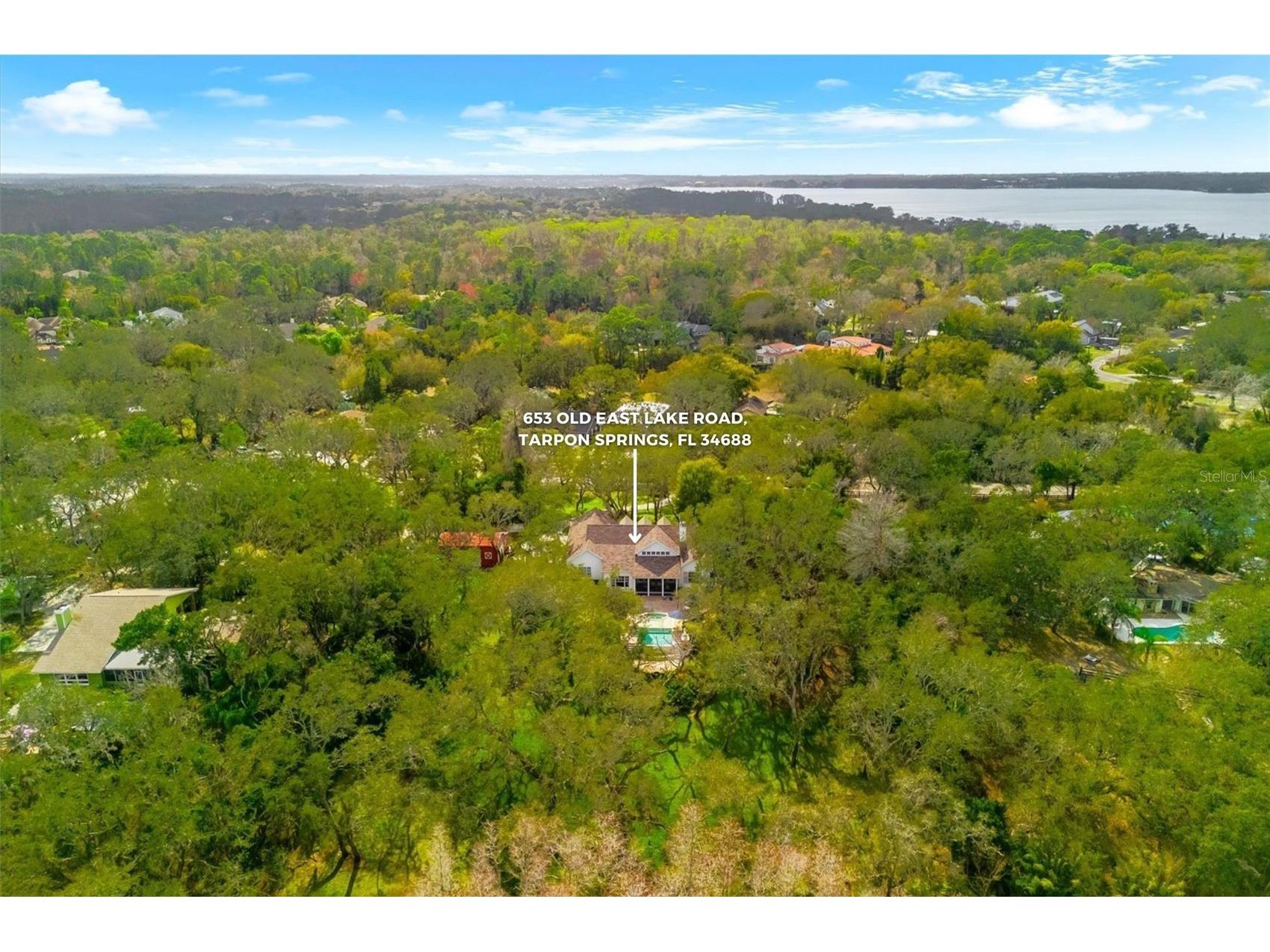653 Old East Lake Road Tarpon Springs FL 34688 TB8469264 image61