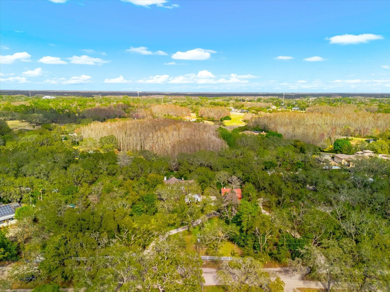 653 Old East Lake Road Tarpon Springs FL 34688 TB8469264 image64
