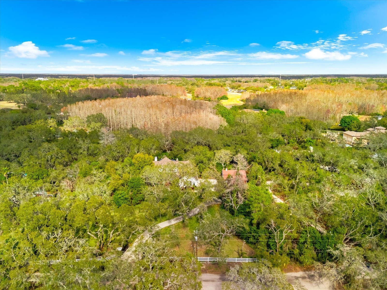 653 Old East Lake Road Tarpon Springs FL 34688 TB8469264 image65