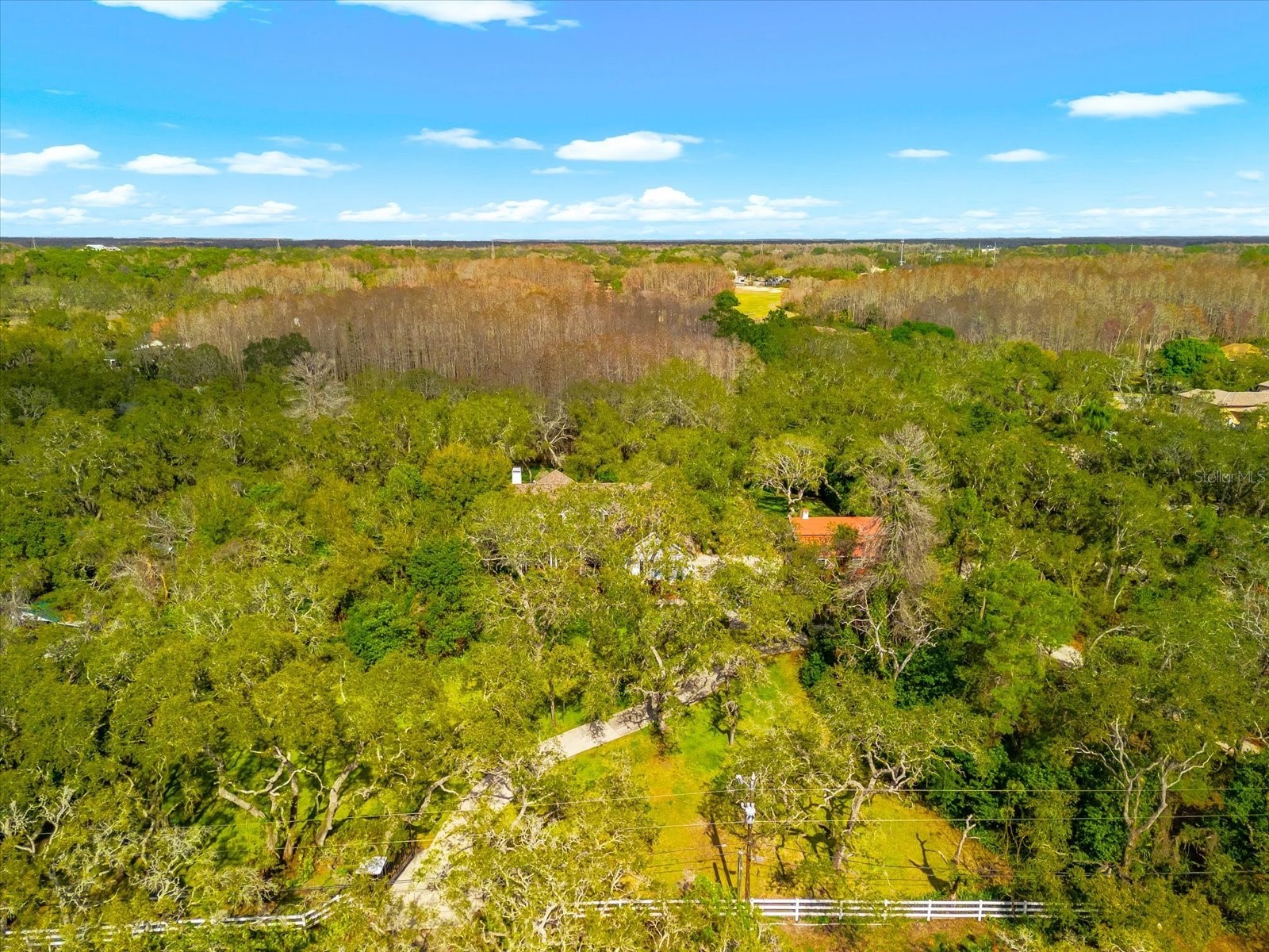 653 Old East Lake Road Tarpon Springs FL 34688 TB8469264 image68