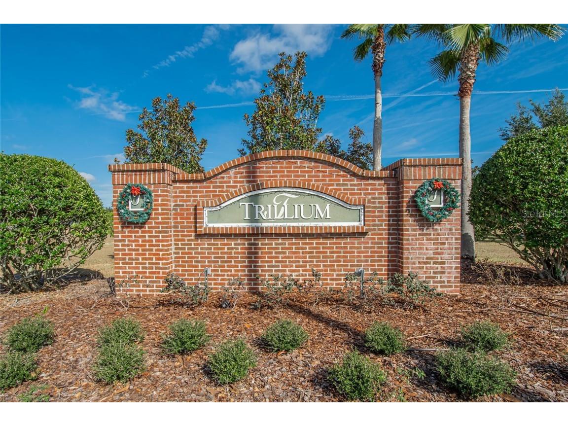 653 Petal Mist Lane Brooksville FL 34604 TB8455256 image44