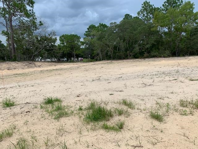 6530 N Zircon Point Dunnellon FL 34433 OM691350 image1
