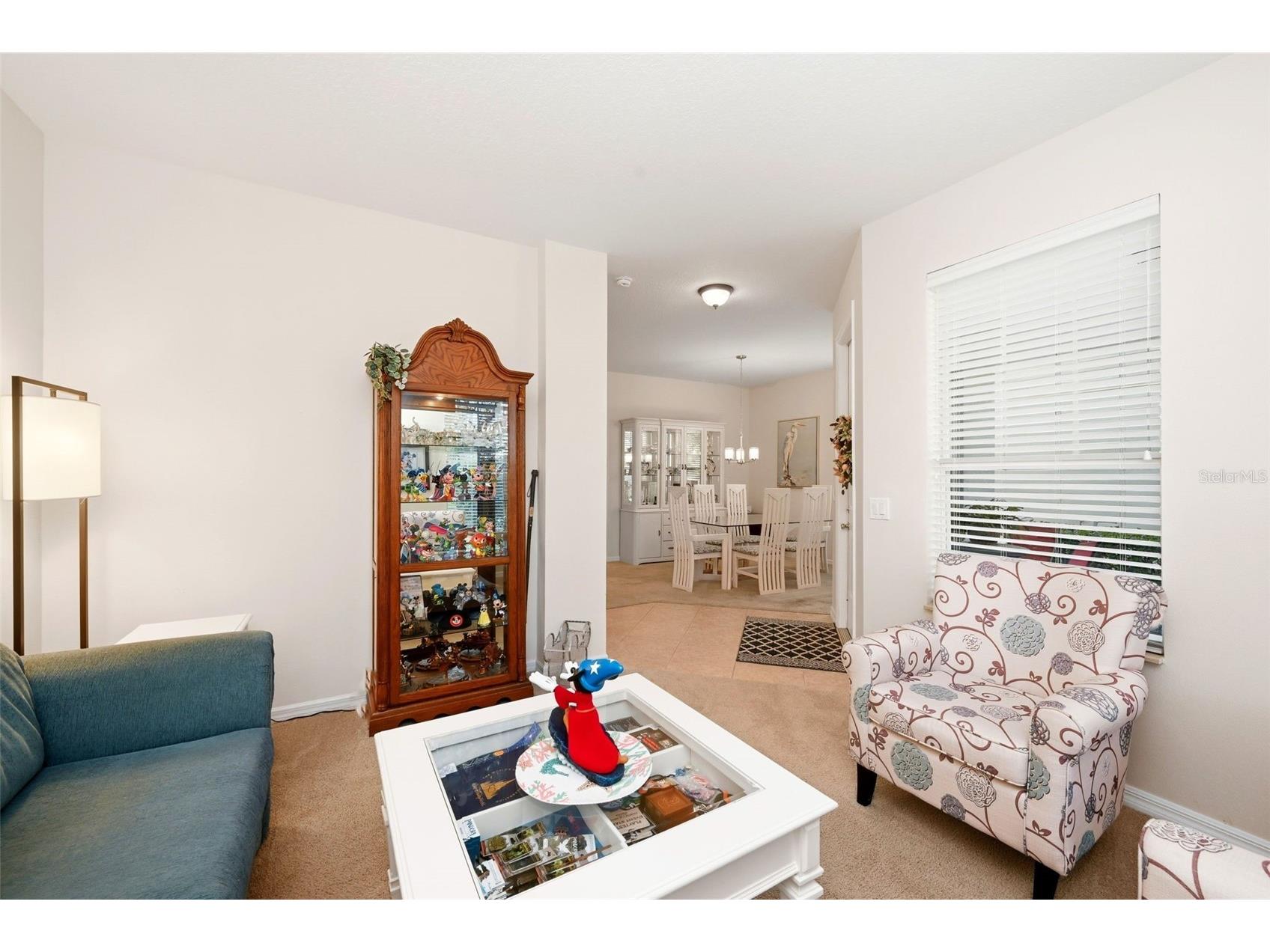 6530 Pasturelands Place Winter Garden FL 34787 O6390459 image15