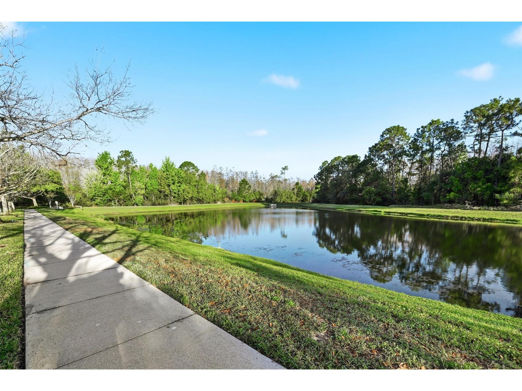 6530 Pasturelands Place Winter Garden FL 34787 O6390459 image45