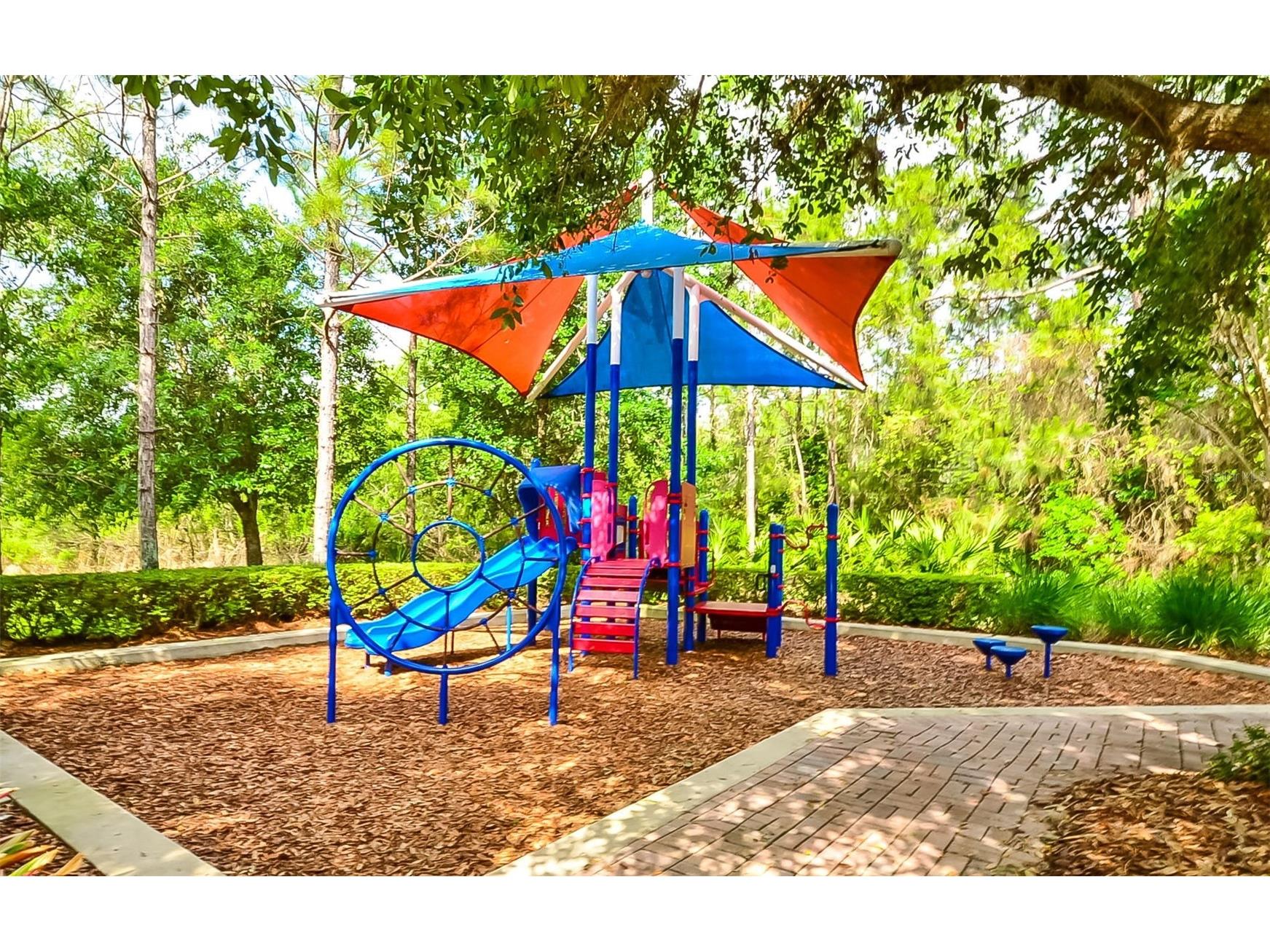 6530 Pasturelands Place Winter Garden FL 34787 O6390459 image49