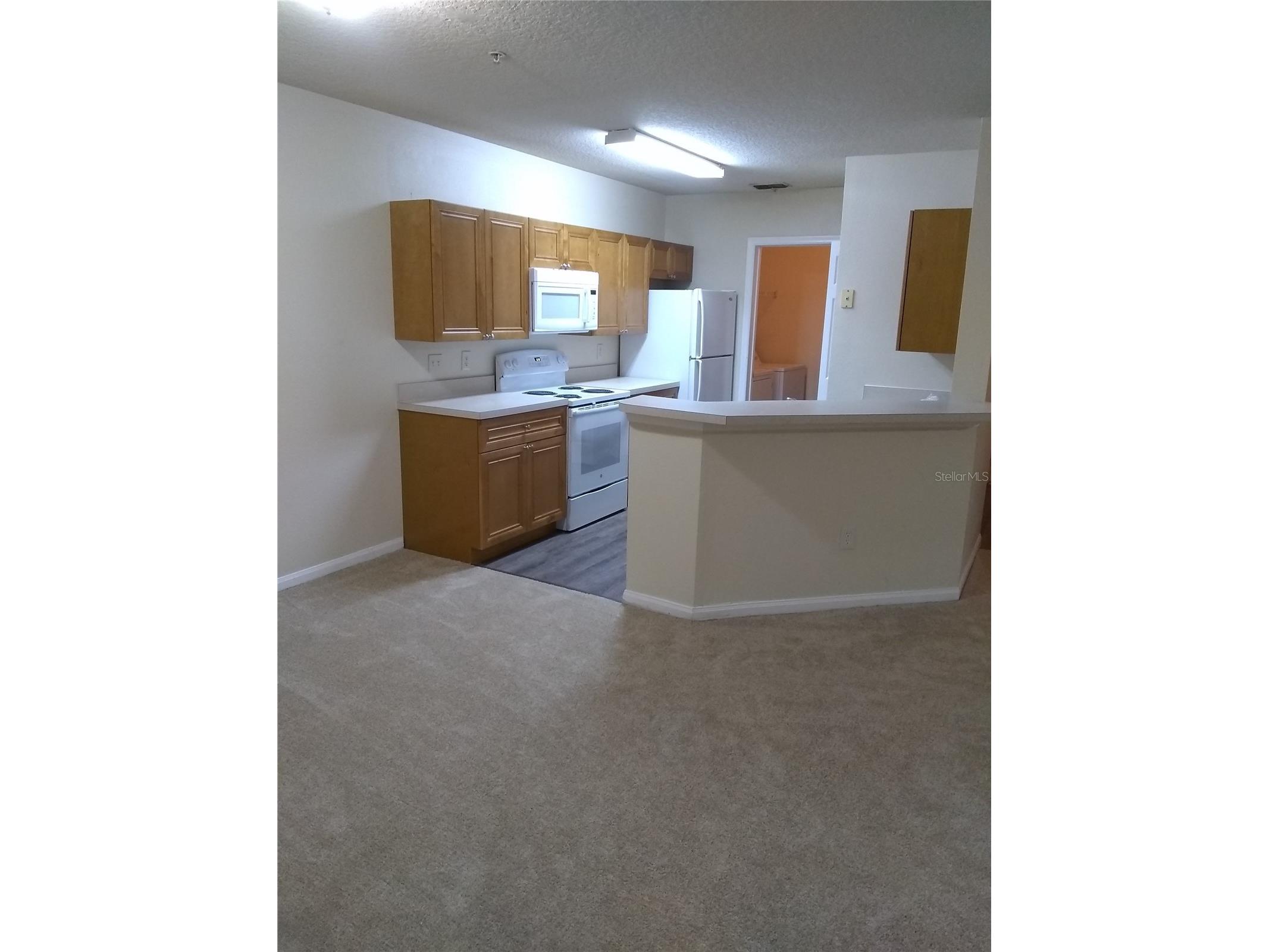 6530 Swissco Drive #1113 Orlando FL 32822 O6391842 image2