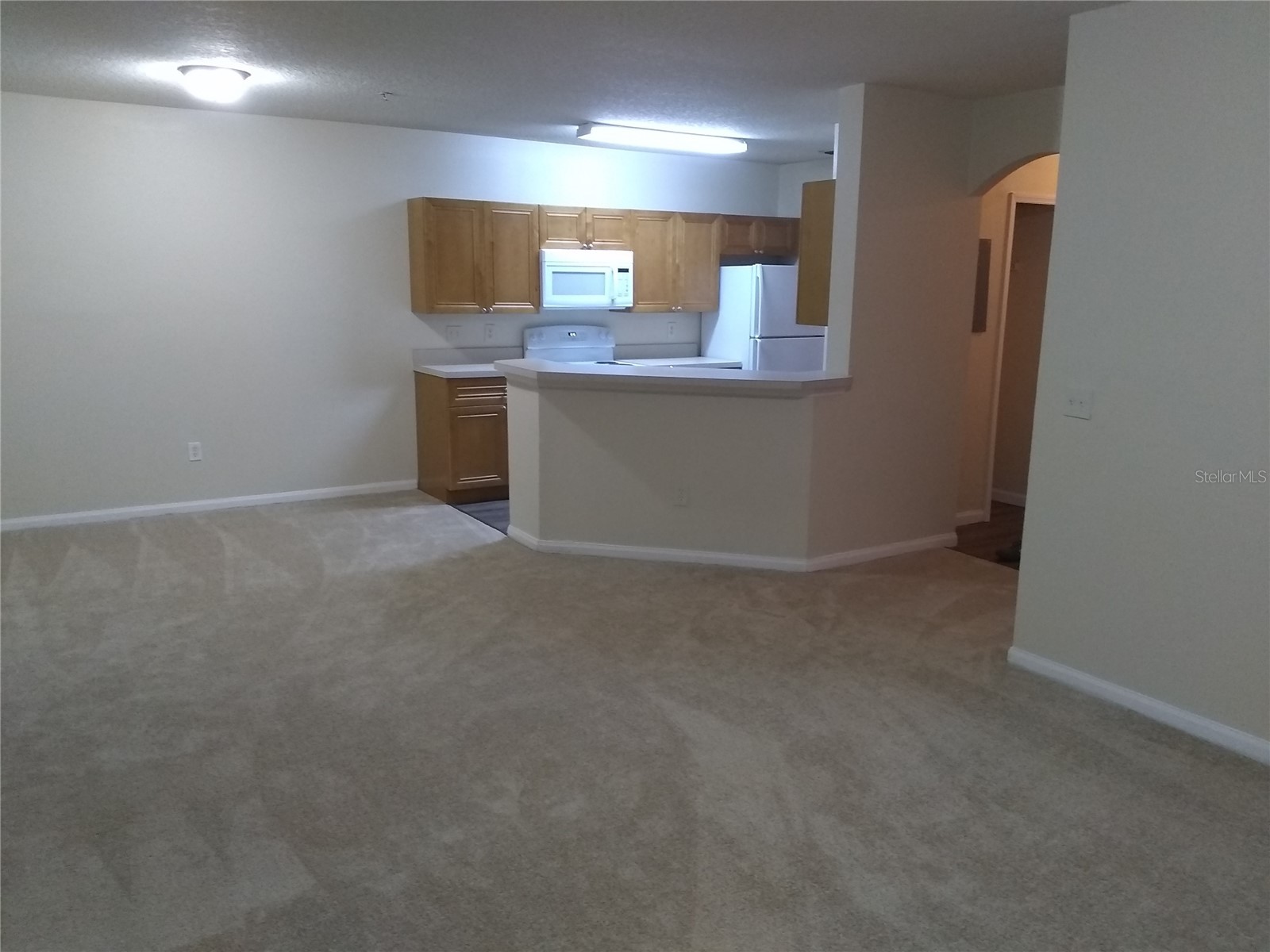 6530 Swissco Drive #1113 Orlando FL 32822 O6391842 image3