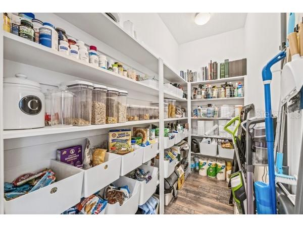 6531 Mayport Drive Apollo Beach FL 33572 TB8438575 image20