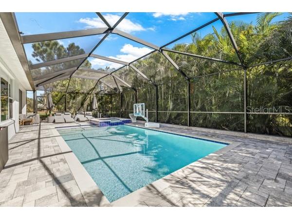 6531 Mayport Drive Apollo Beach FL 33572 TB8438575 image44