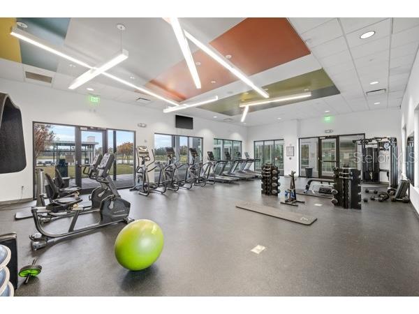 6531 Mayport Drive Apollo Beach FL 33572 TB8438575 image69