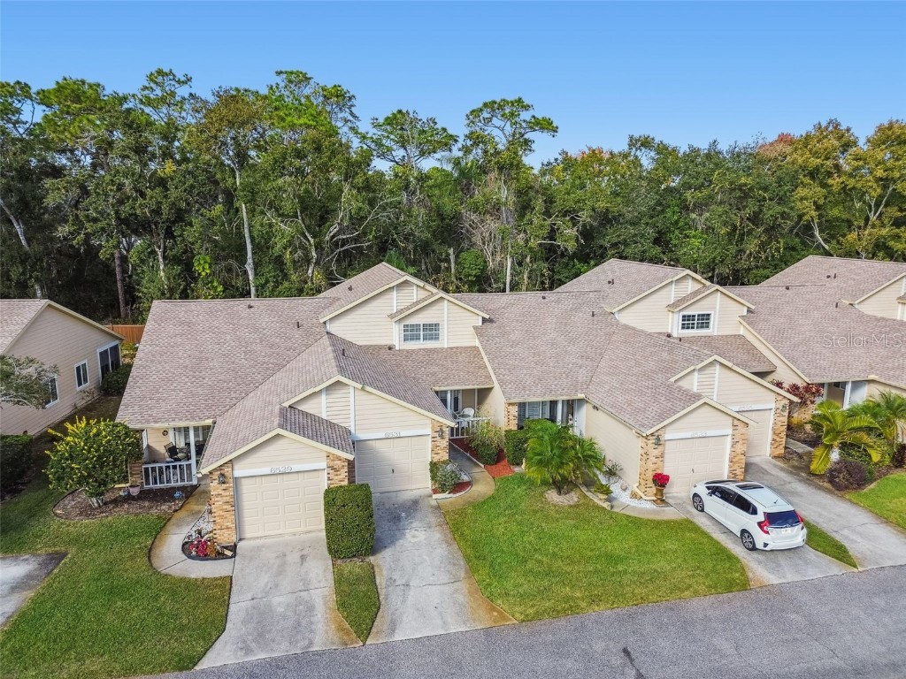 6531 Remus Drive New Port Richey FL 34653 W7881526 image28