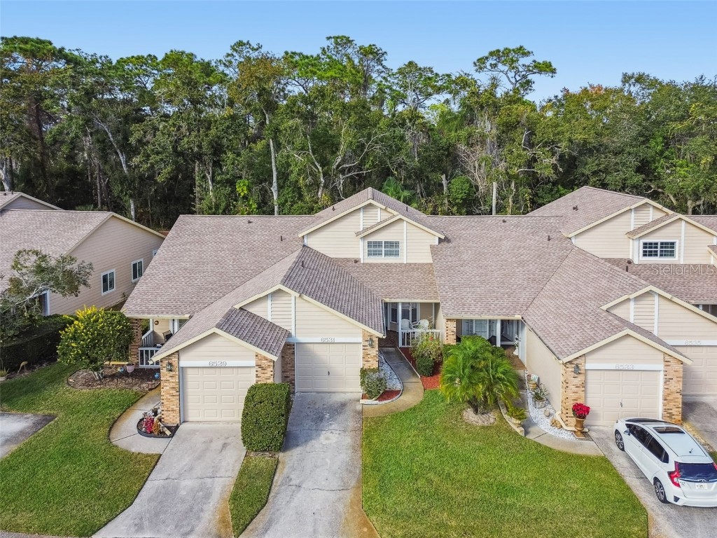 6531 Remus Drive New Port Richey FL 34653 W7881526 image29