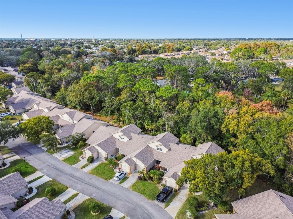 6531 Remus Drive New Port Richey FL 34653 W7881526 image30