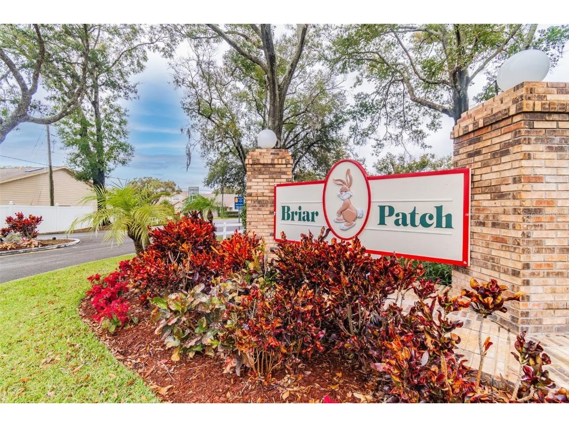 6531 Remus Drive New Port Richey FL 34653 W7881526 image31