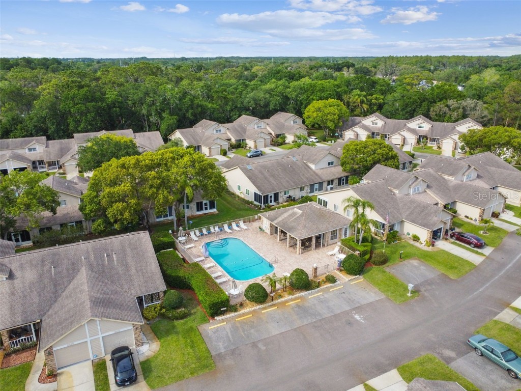 6531 Remus Drive New Port Richey FL 34653 W7881526 image38