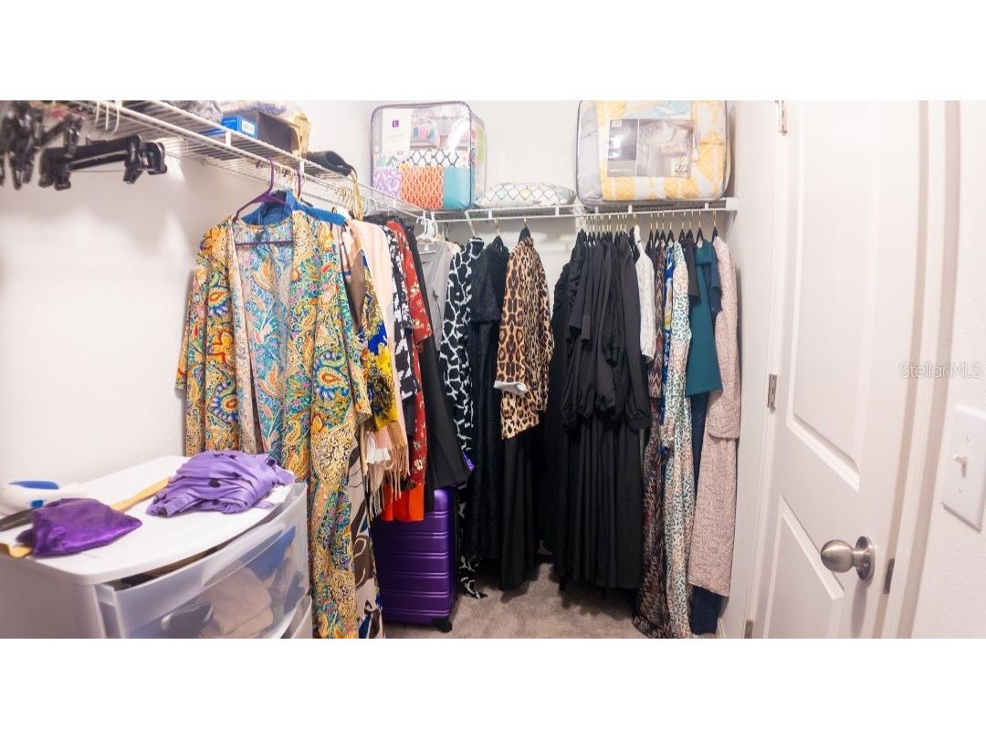 6531 Trent Creek Drive Ruskin FL 33573 A4660850 image29