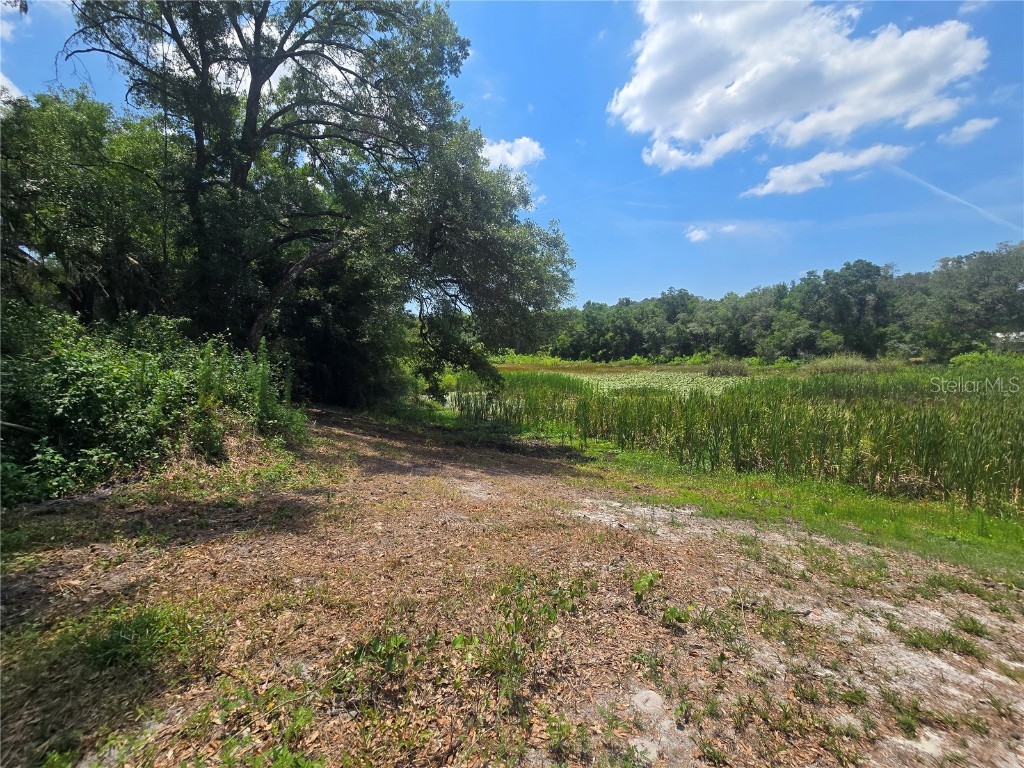 6532 N Iris Drive Hernando FL 34442 OM701941 image1