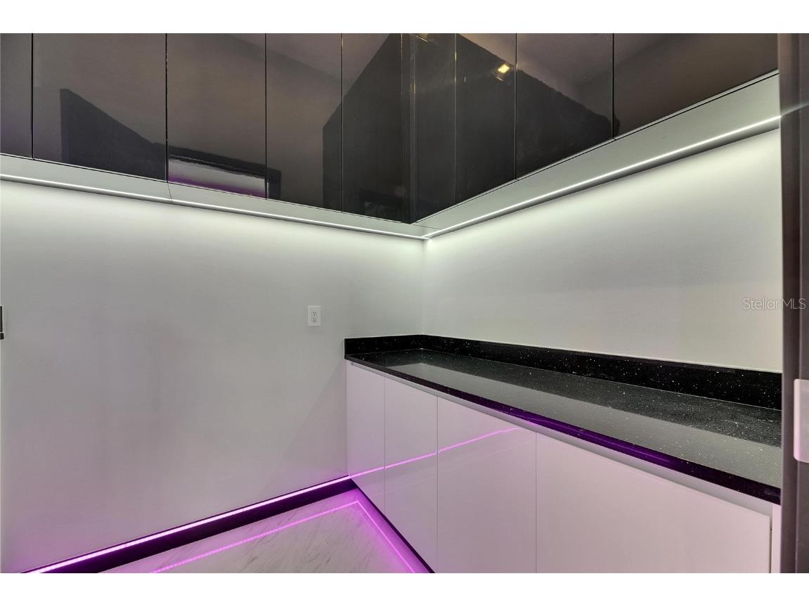 6532 Simone Shores Circle Apollo Beach FL 33572 - ST. CRUEX CANAL TB8390546 image42