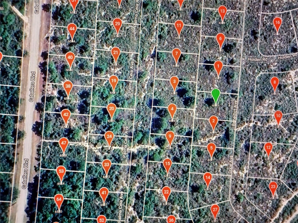 6533 Benedict Avenue Sebring FL 33872 O6233071 image1