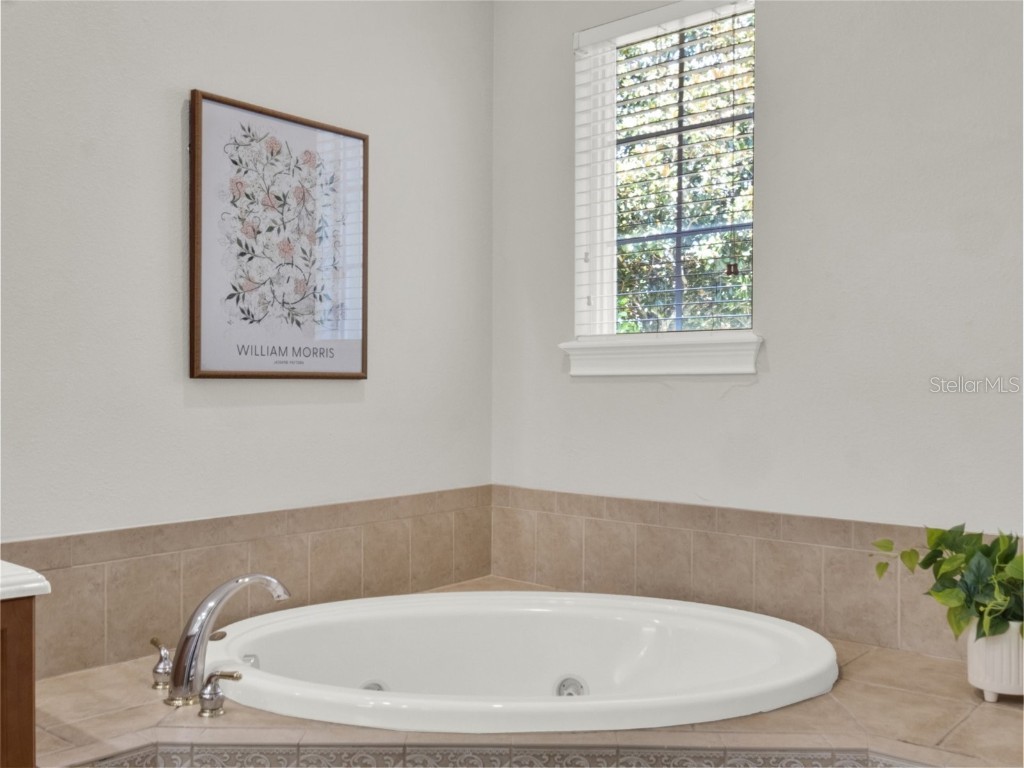 6533 Cartmel Lane Windermere FL 34786 O6366042 image22