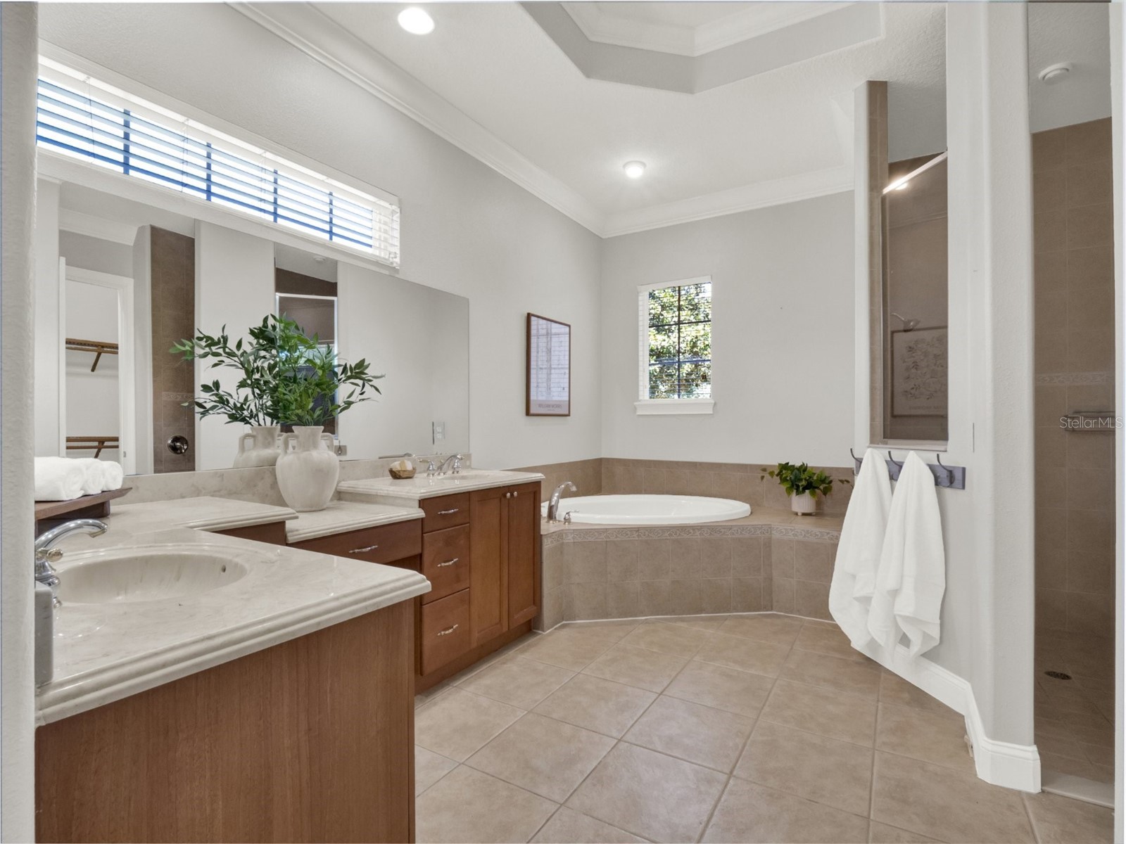 6533 Cartmel Lane Windermere FL 34786 O6381498 image20