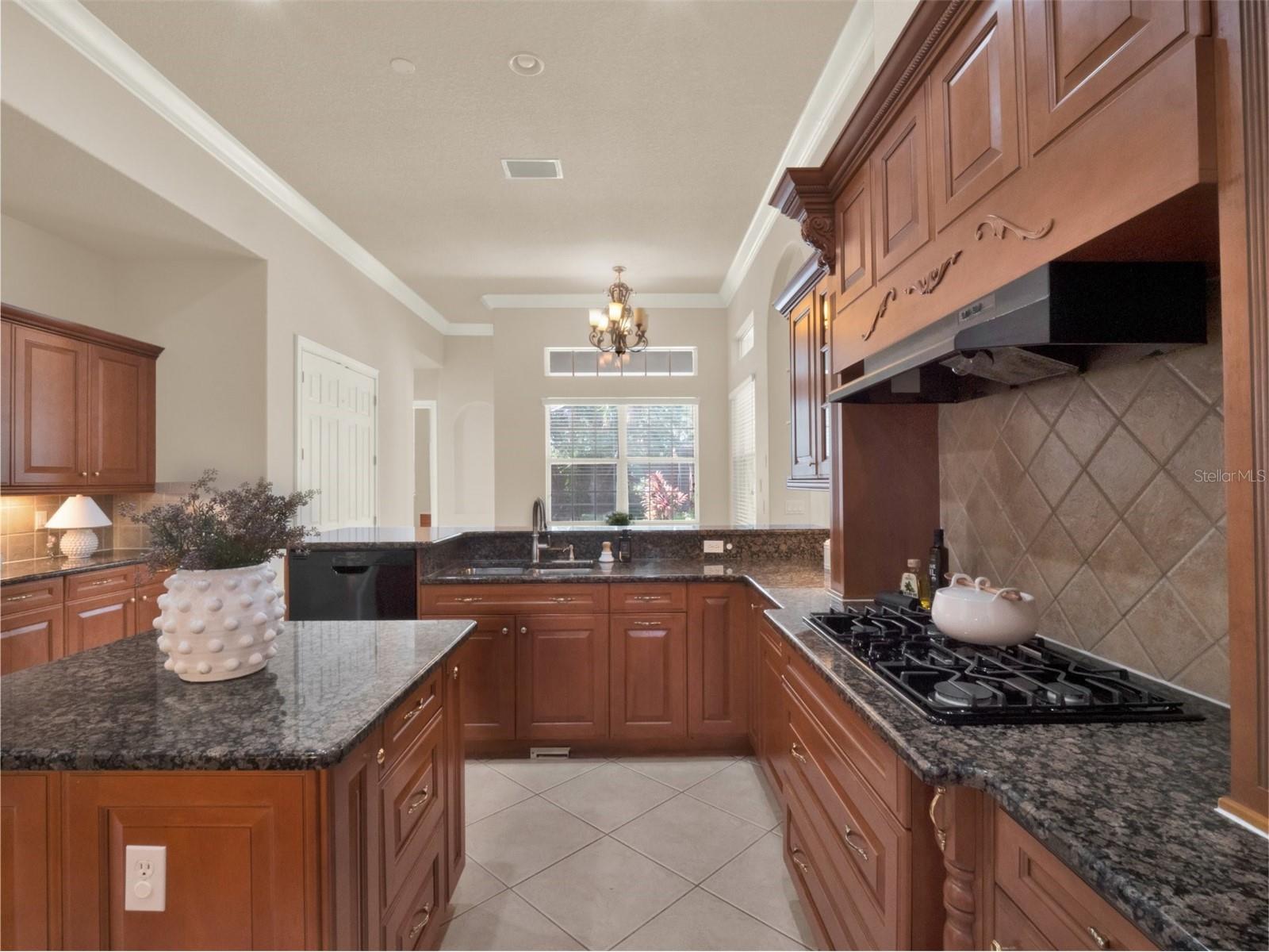 6533 Cartmel Lane Windermere FL 34786 O6381498 image7