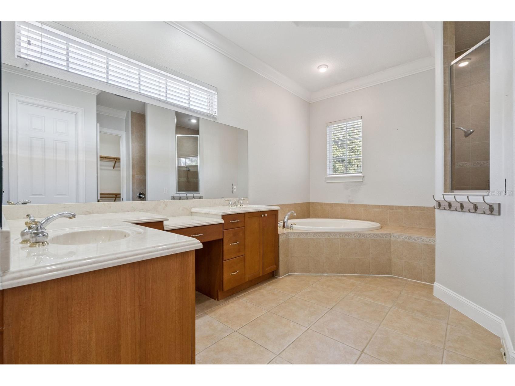 6533 Cartmel Ln Windermere FL 34786 O6425396 image18