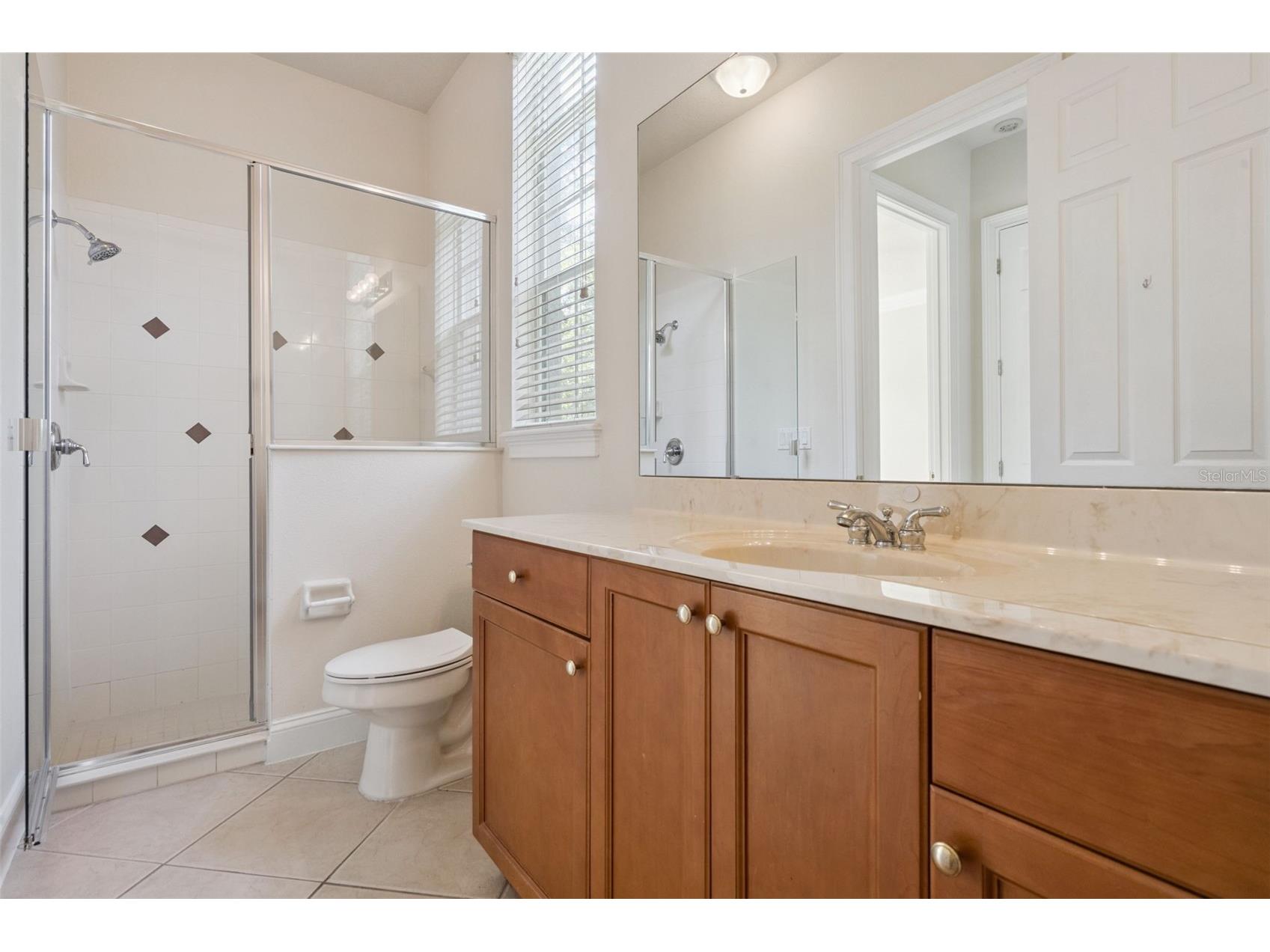 6533 Cartmel Ln Windermere FL 34786 O6425396 image20